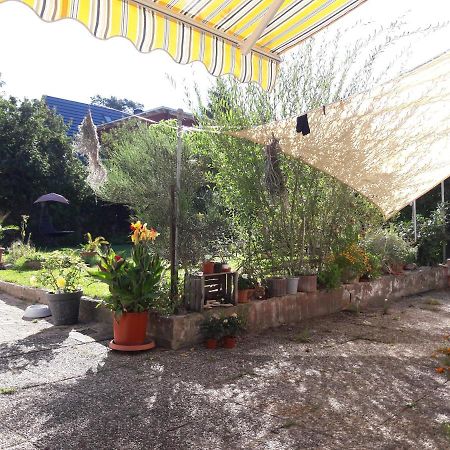 Ferienwohnung Lerchennest Georgensgmund ภายนอก รูปภาพ