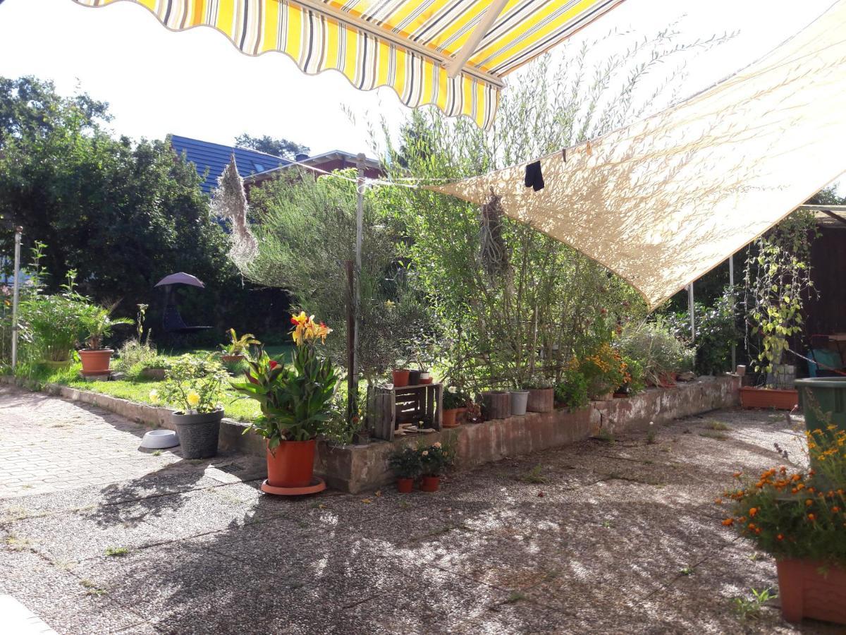 Ferienwohnung Lerchennest Georgensgmund ภายนอก รูปภาพ