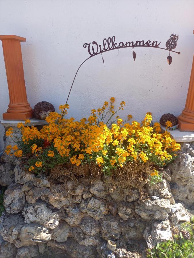Ferienwohnung Lerchennest Georgensgmund ภายนอก รูปภาพ