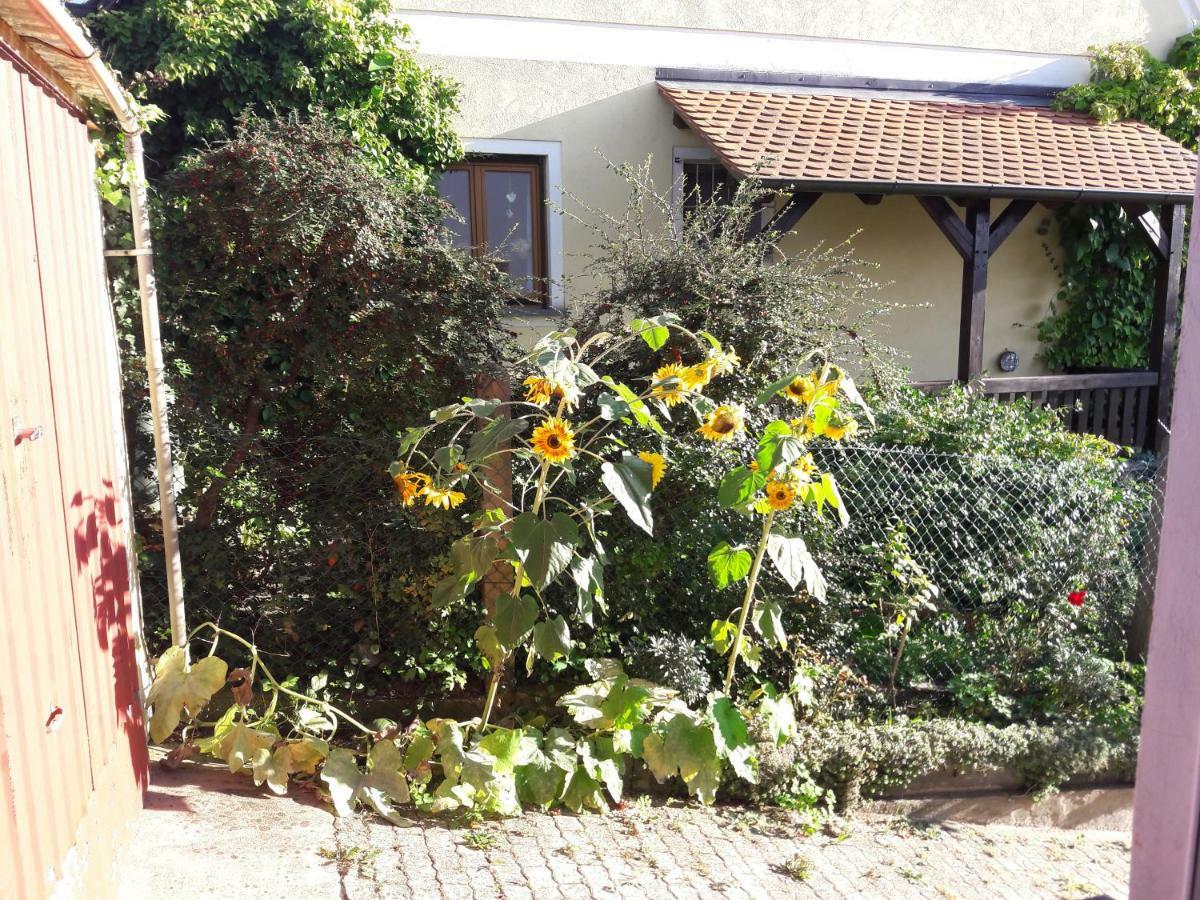 Ferienwohnung Lerchennest Georgensgmund ภายนอก รูปภาพ