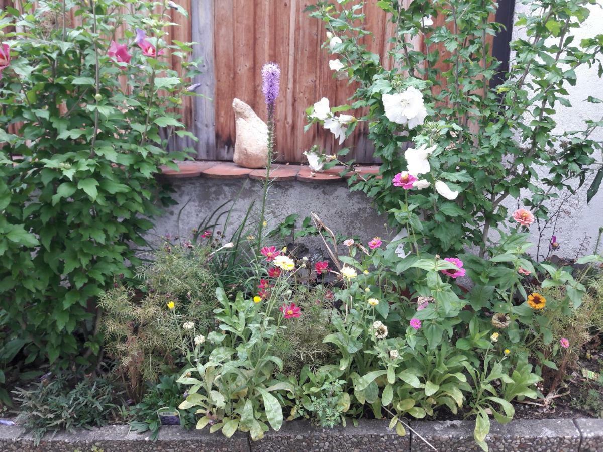 Ferienwohnung Lerchennest Georgensgmund ภายนอก รูปภาพ