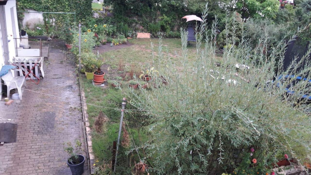 Ferienwohnung Lerchennest Georgensgmund ภายนอก รูปภาพ