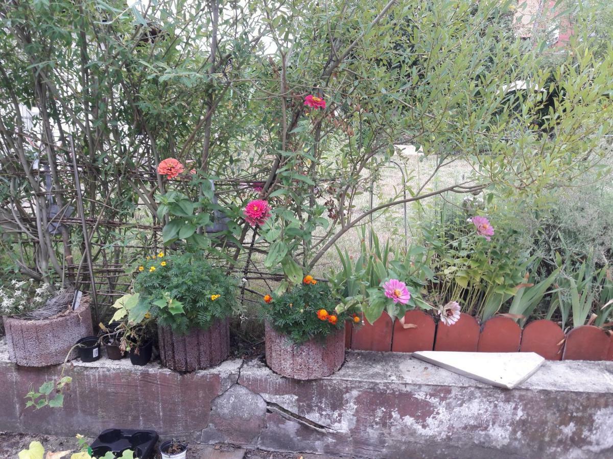 Ferienwohnung Lerchennest Georgensgmund ภายนอก รูปภาพ